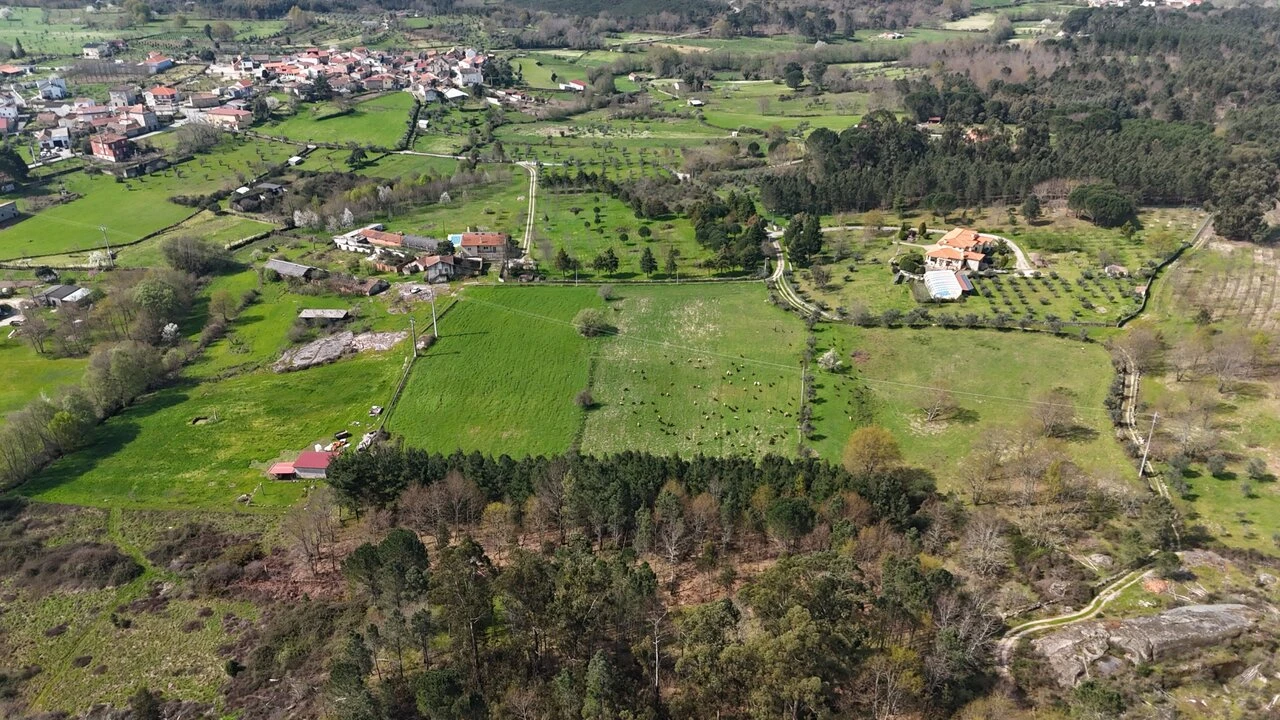 Quinta T3 para Venda em Tourais e Lajes Foto 16