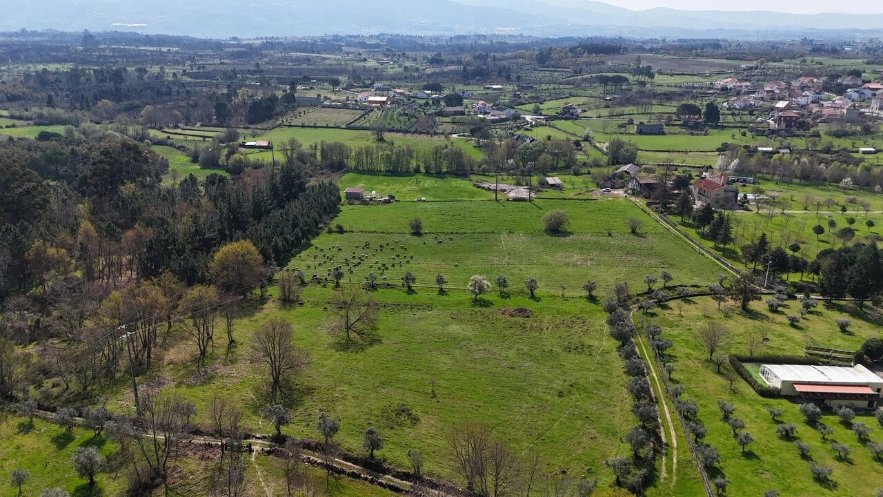 Quinta T3 para Venda em Tourais e Lajes Foto 20