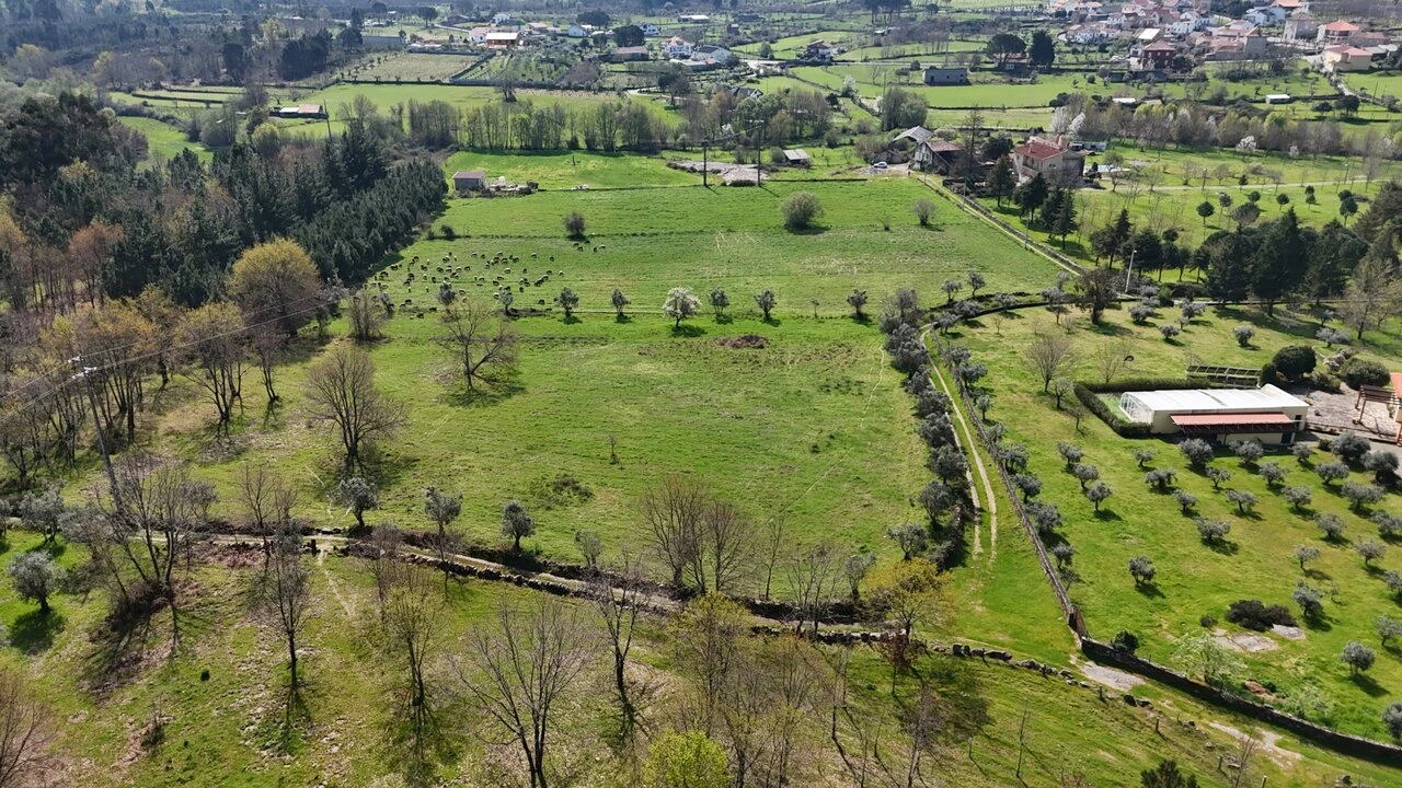 Quinta T3 para Venda em Tourais e Lajes Foto 22