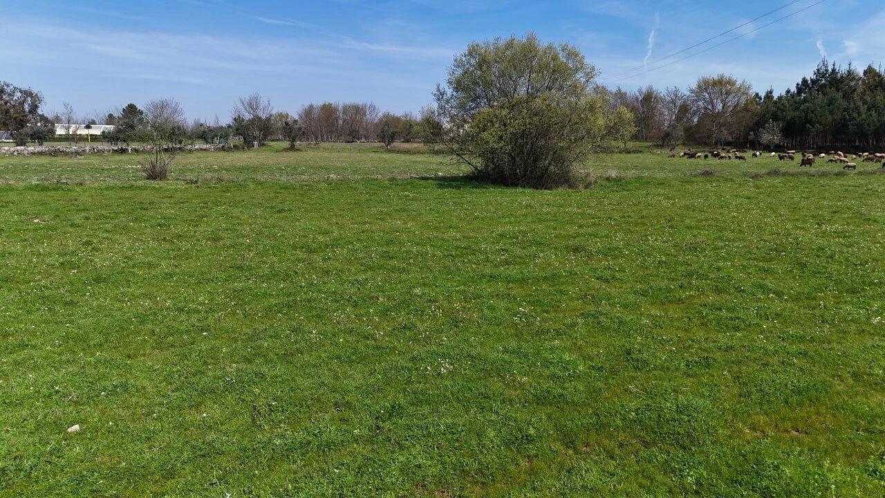 Quinta T3 para Venda em Tourais e Lajes Foto 24