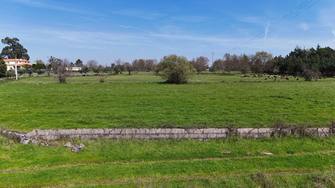 Quinta T3 para Venda em Tourais e Lajes Foto 25