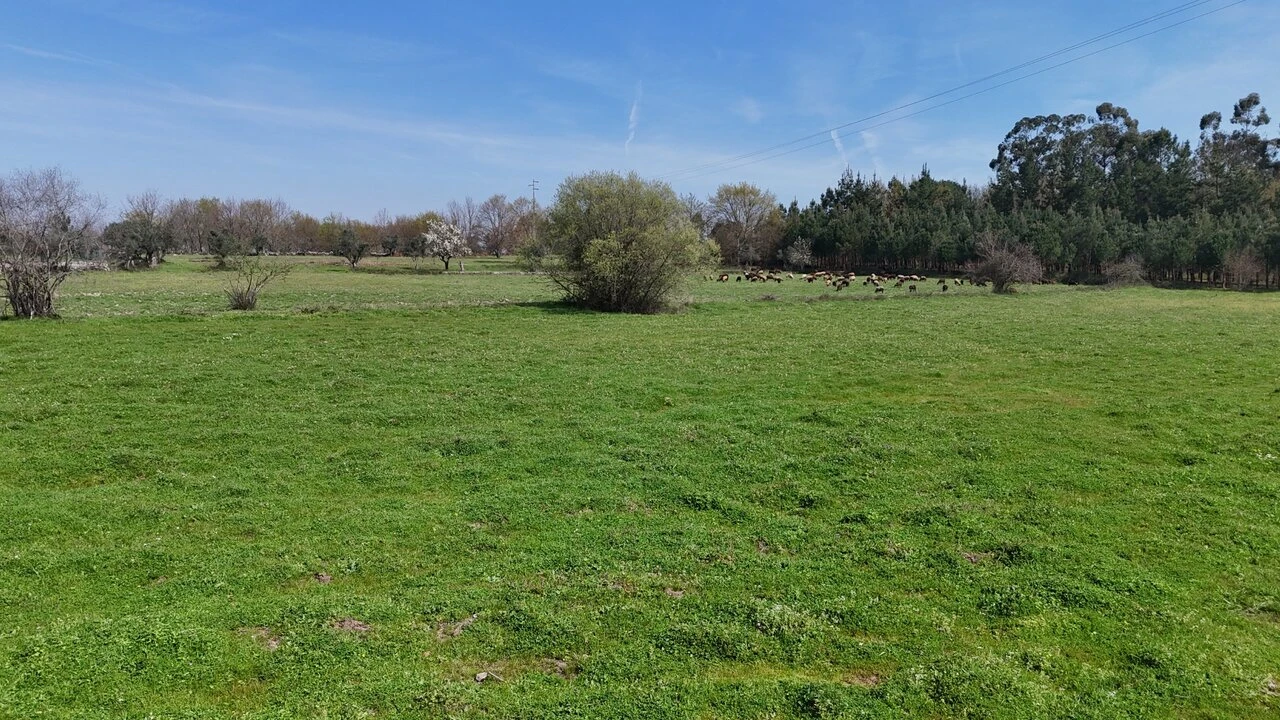 Quinta T3 para Venda em Tourais e Lajes Foto 26