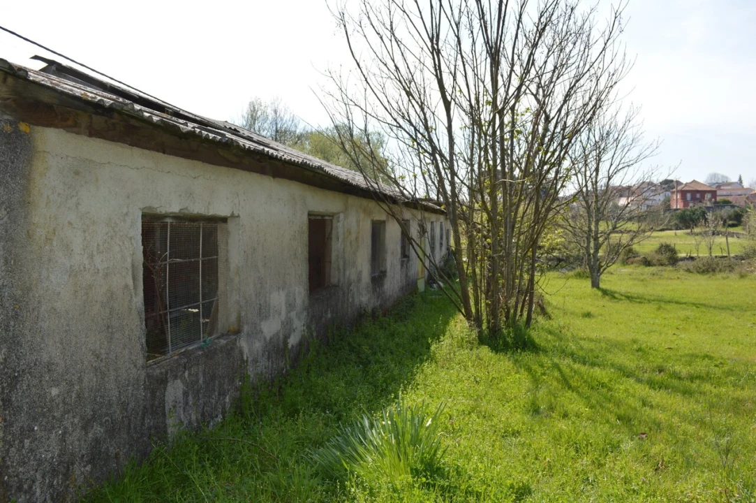 Quinta T3 para Venda em Tourais e Lajes Foto 45