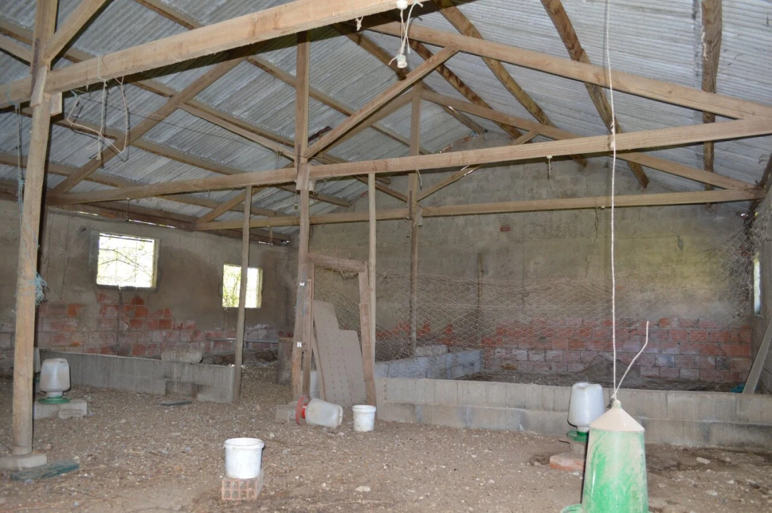 Quinta T3 para Venda em Tourais e Lajes Foto 46