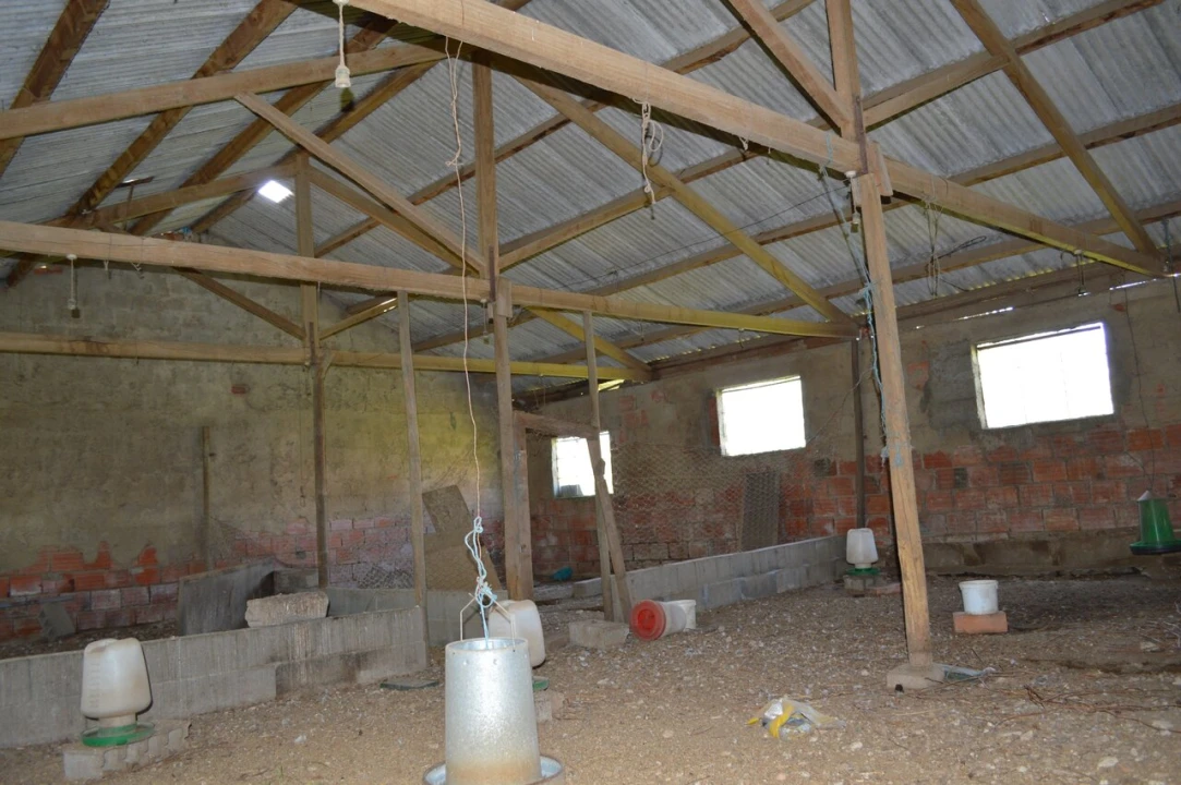 Quinta T3 para Venda em Tourais e Lajes Foto 48