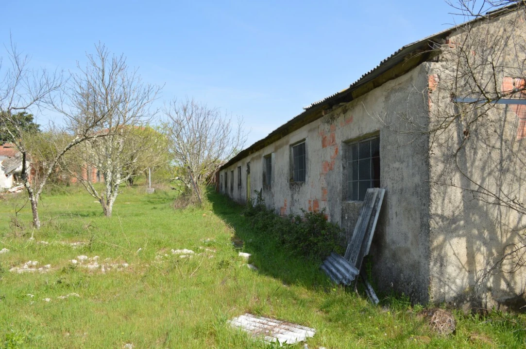 Quinta T3 para Venda em Tourais e Lajes Foto 51