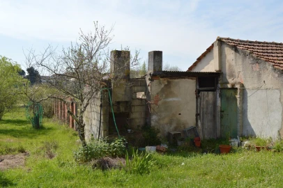 Quinta T3 para Venda em Tourais e Lajes