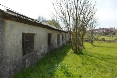 Quinta T3 para Venda em Tourais e Lajes