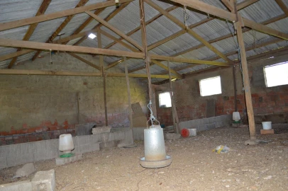 Quinta T3 para Venda em Tourais e Lajes