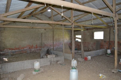 Quinta T3 para Venda em Tourais e Lajes