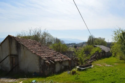 Quinta T3 para Venda em Tourais e Lajes