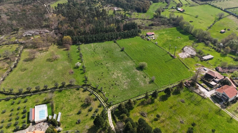Quinta T3 para Venda em Tourais e Lajes Foto 2