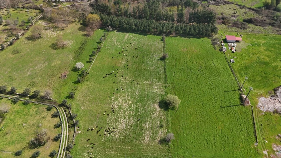 Quinta T3 para Venda em Tourais e Lajes Foto 3