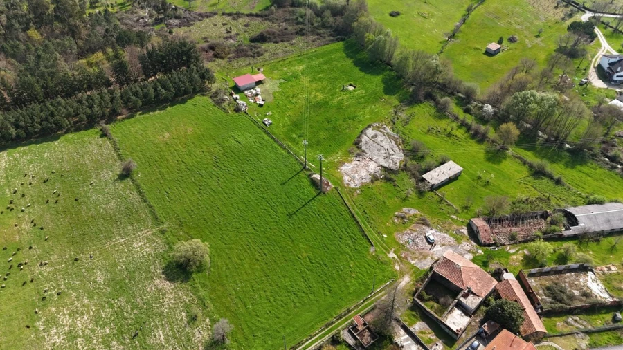 Quinta T3 para Venda em Tourais e Lajes Foto 6
