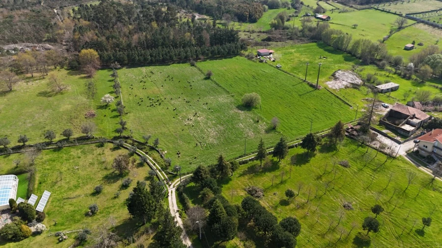 Quinta T3 para Venda em Tourais e Lajes Foto 10