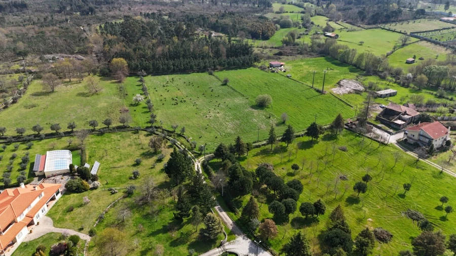 Quinta T3 para Venda em Tourais e Lajes Foto 11