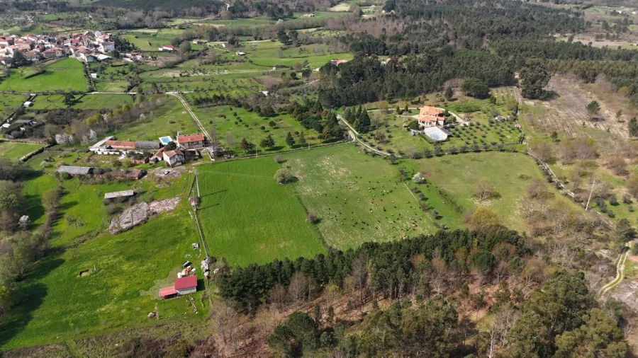Quinta T3 para Venda em Tourais e Lajes Foto 15