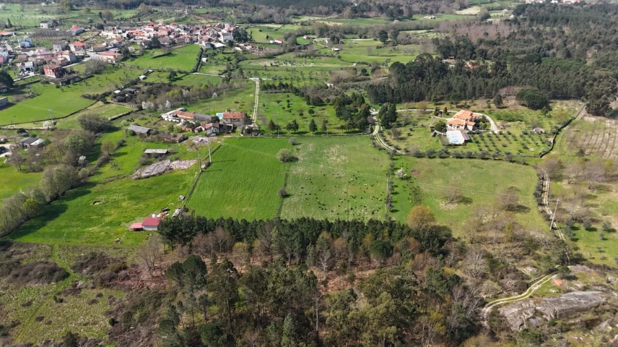 Quinta T3 para Venda em Tourais e Lajes Foto 16