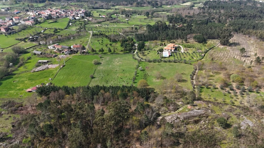Quinta T3 para Venda em Tourais e Lajes Foto 17