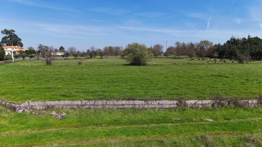 Quinta T3 para Venda em Tourais e Lajes Foto 25
