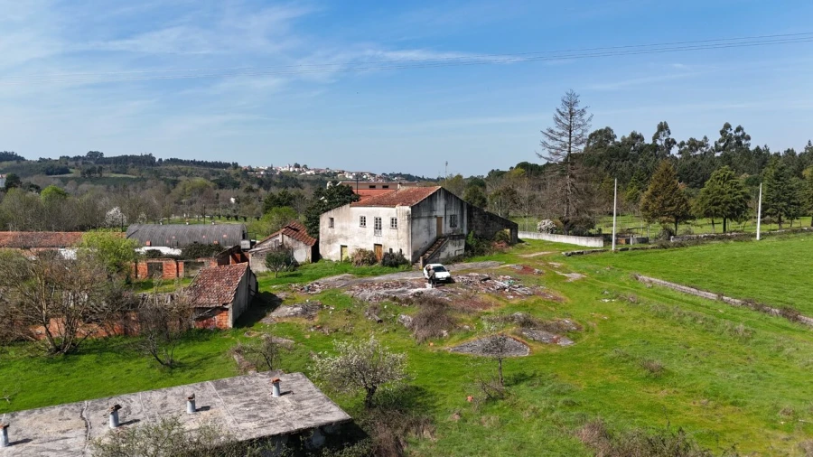 Quinta T3 para Venda em Tourais e Lajes Foto 29
