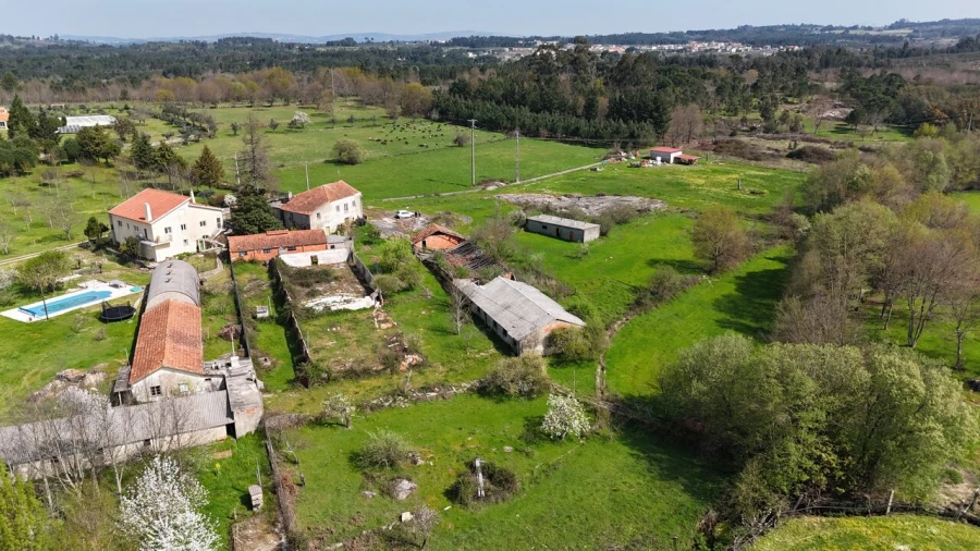 Quinta T3 para Venda em Tourais e Lajes Foto 33