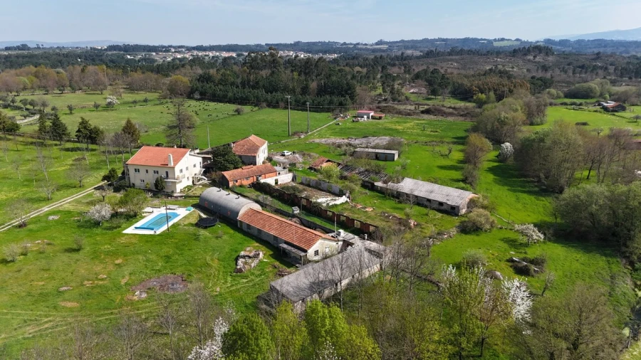 Quinta T3 para Venda em Tourais e Lajes Foto 35