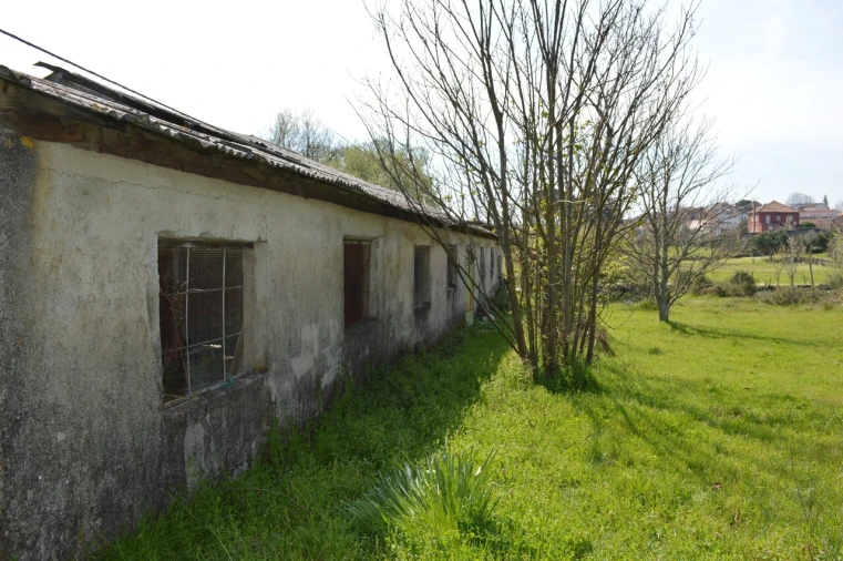 Quinta T3 para Venda em Tourais e Lajes Foto 45