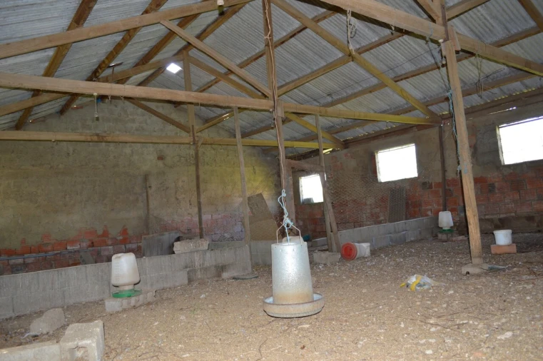 Quinta T3 para Venda em Tourais e Lajes Foto 49