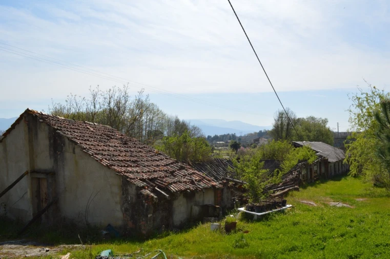 Quinta T3 para Venda em Tourais e Lajes Foto 54