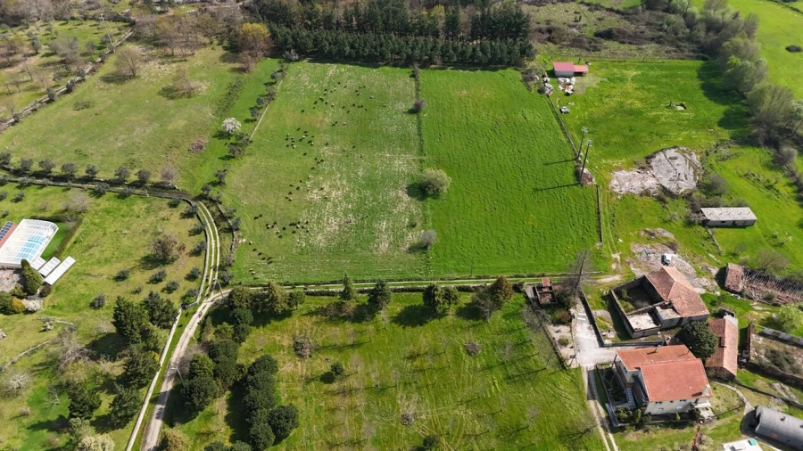 Quinta T3 para Venda em Tourais e Lajes