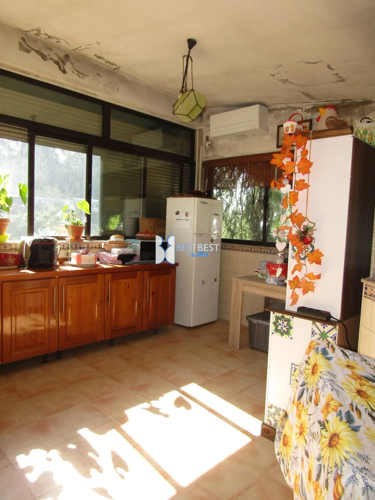 Quinta T5 para Venda em Moure Foto 18