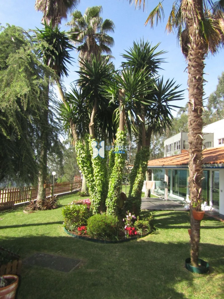 Quinta T5 para Venda em Moure Foto 23