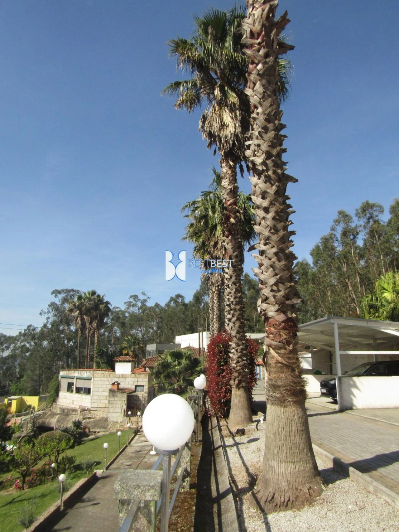 Quinta T5 para Venda em Moure Foto 37