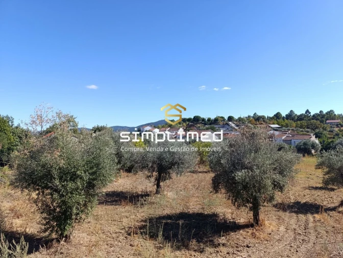 Moradia T4 para Venda em Três Povos Foto 2