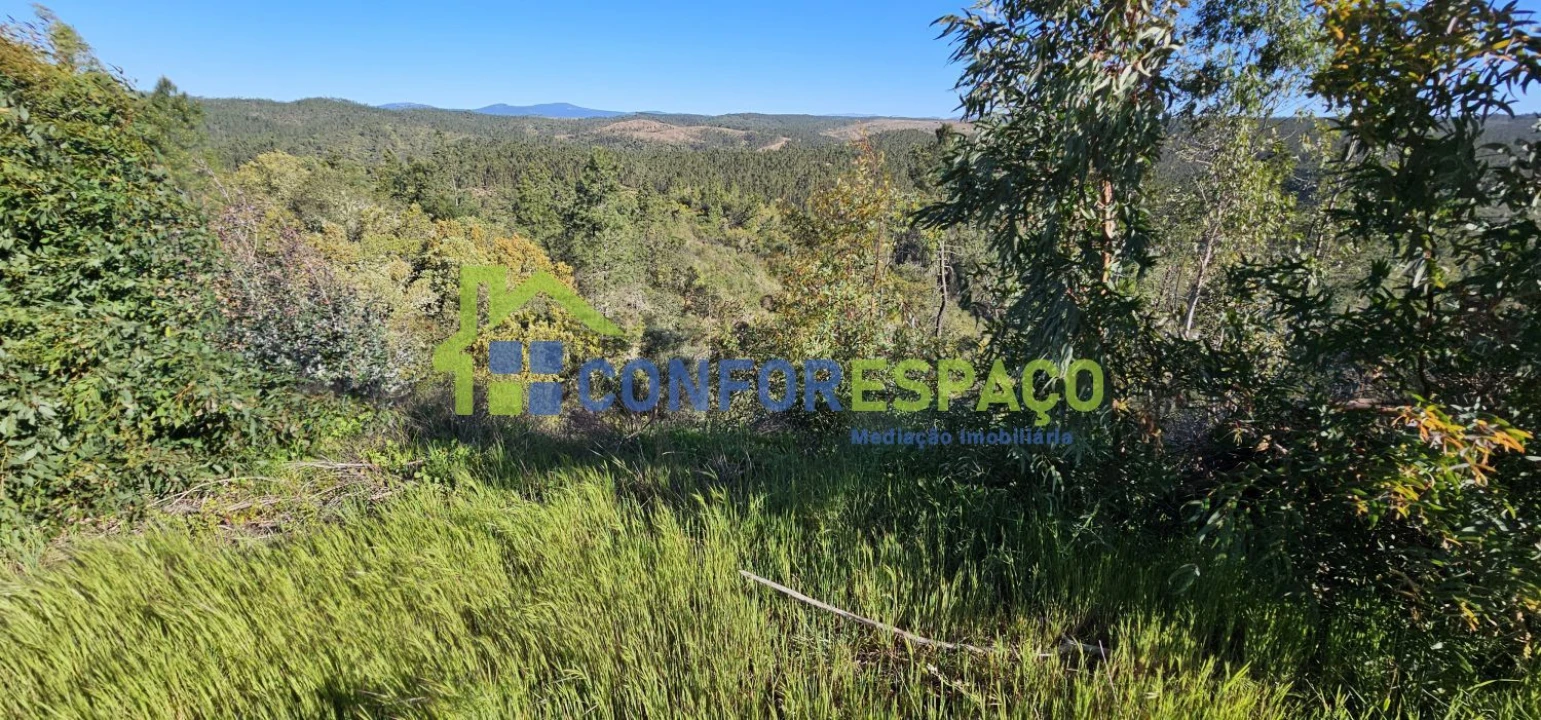 Terreno para Venda em Benquerenças Foto 7