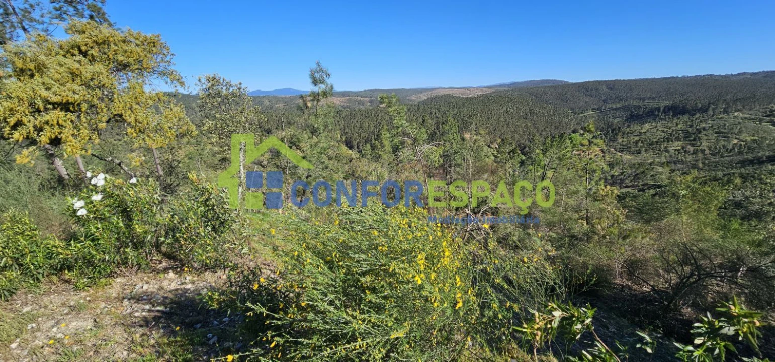 Terreno para Venda em Benquerenças Foto 11