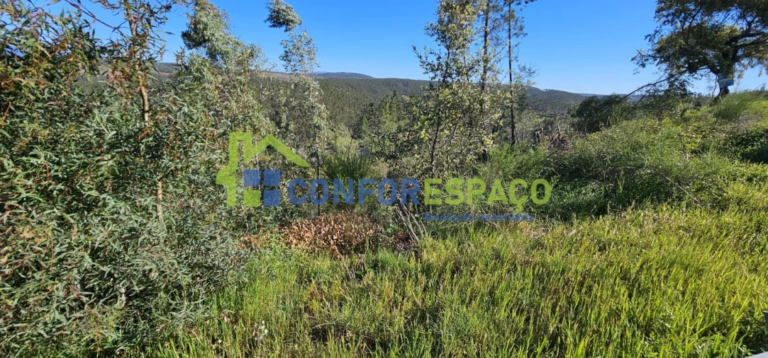 Terreno para Venda em Benquerenças Foto 8