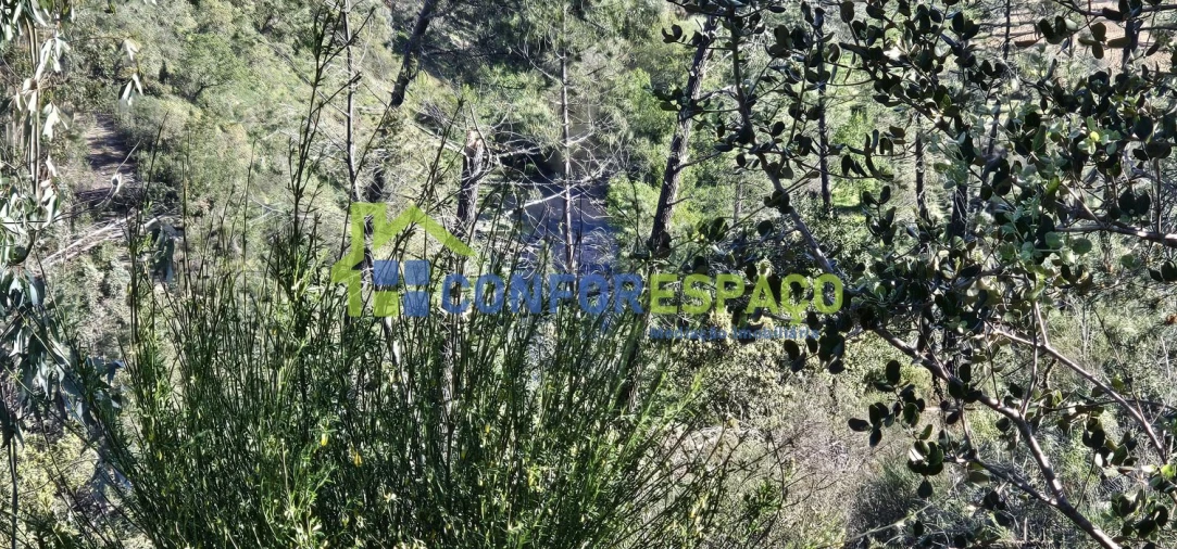 Terreno para Venda em Benquerenças Foto 9