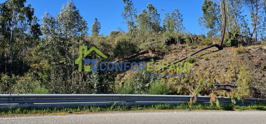 Terreno para Venda em Benquerenças Foto 6
