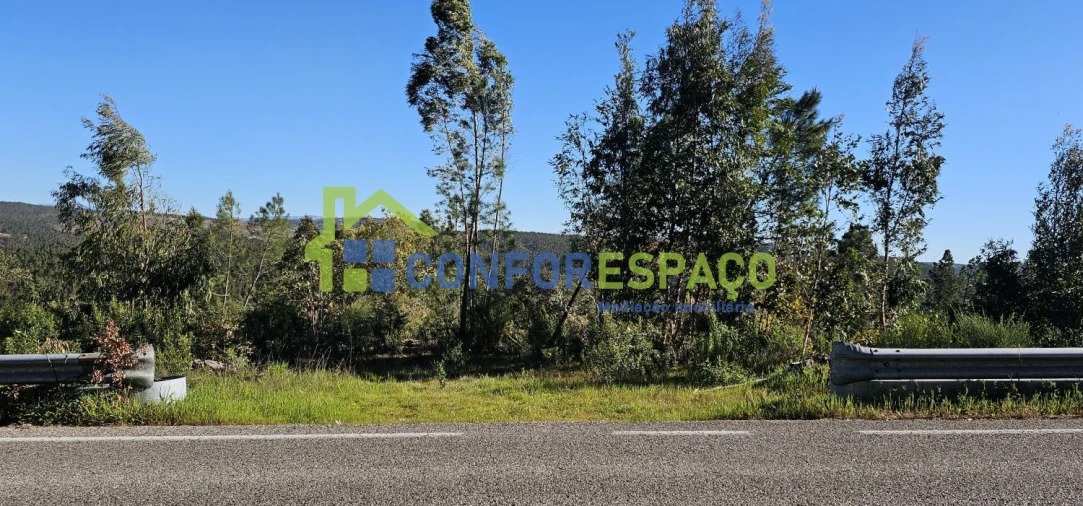 Terreno para Venda em Benquerenças Foto 5