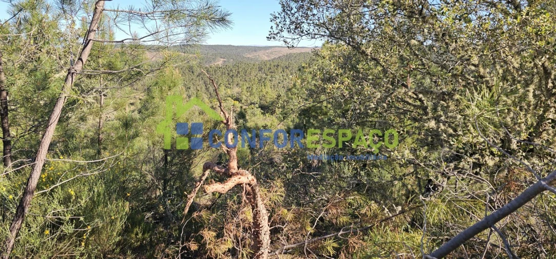 Terreno para Venda em Benquerenças Foto 4