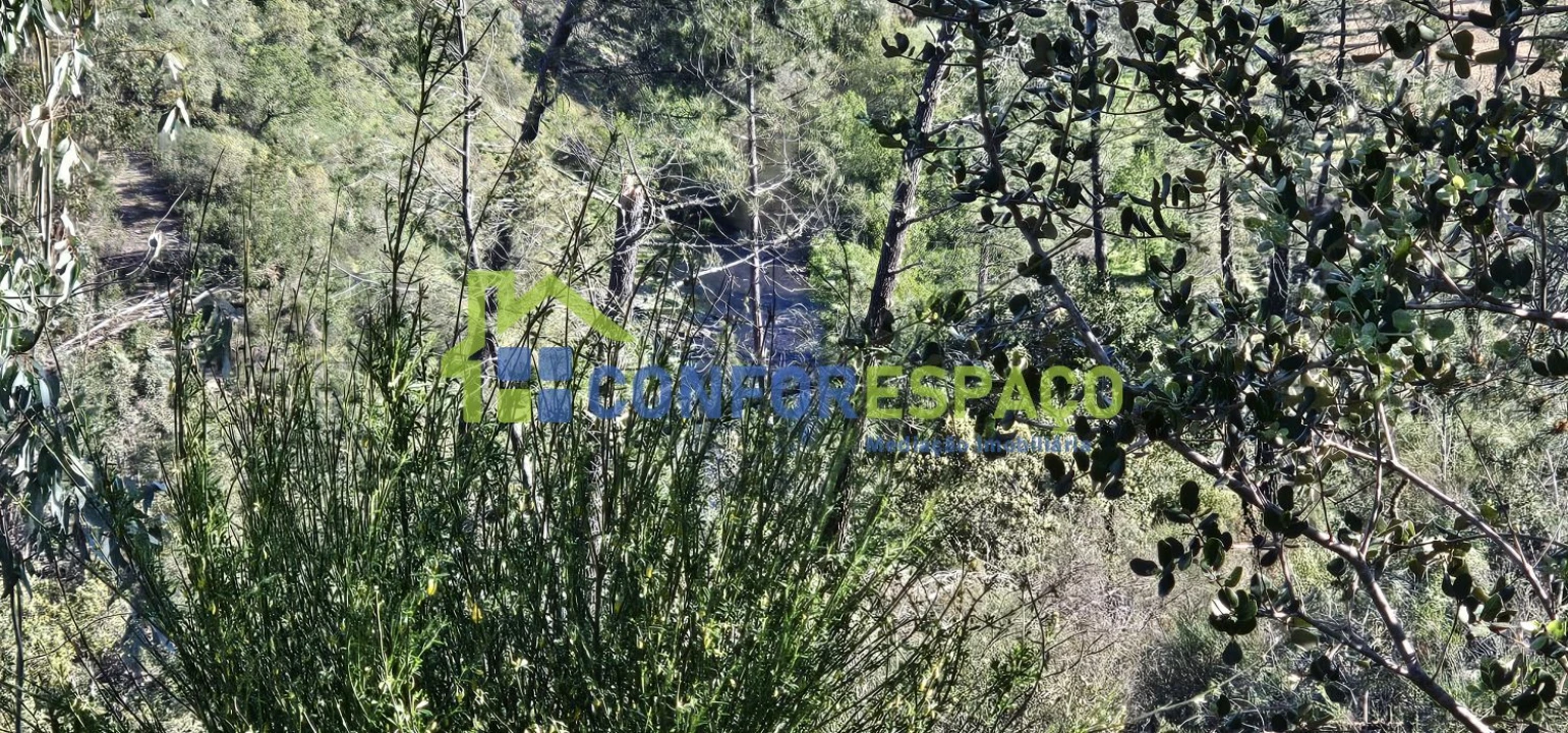 Terreno para Venda em Benquerenças Foto 9