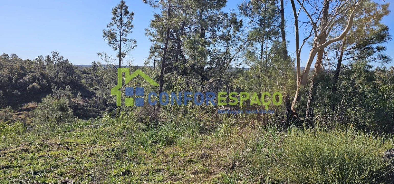 Terreno para Venda em Benquerenças Foto 2