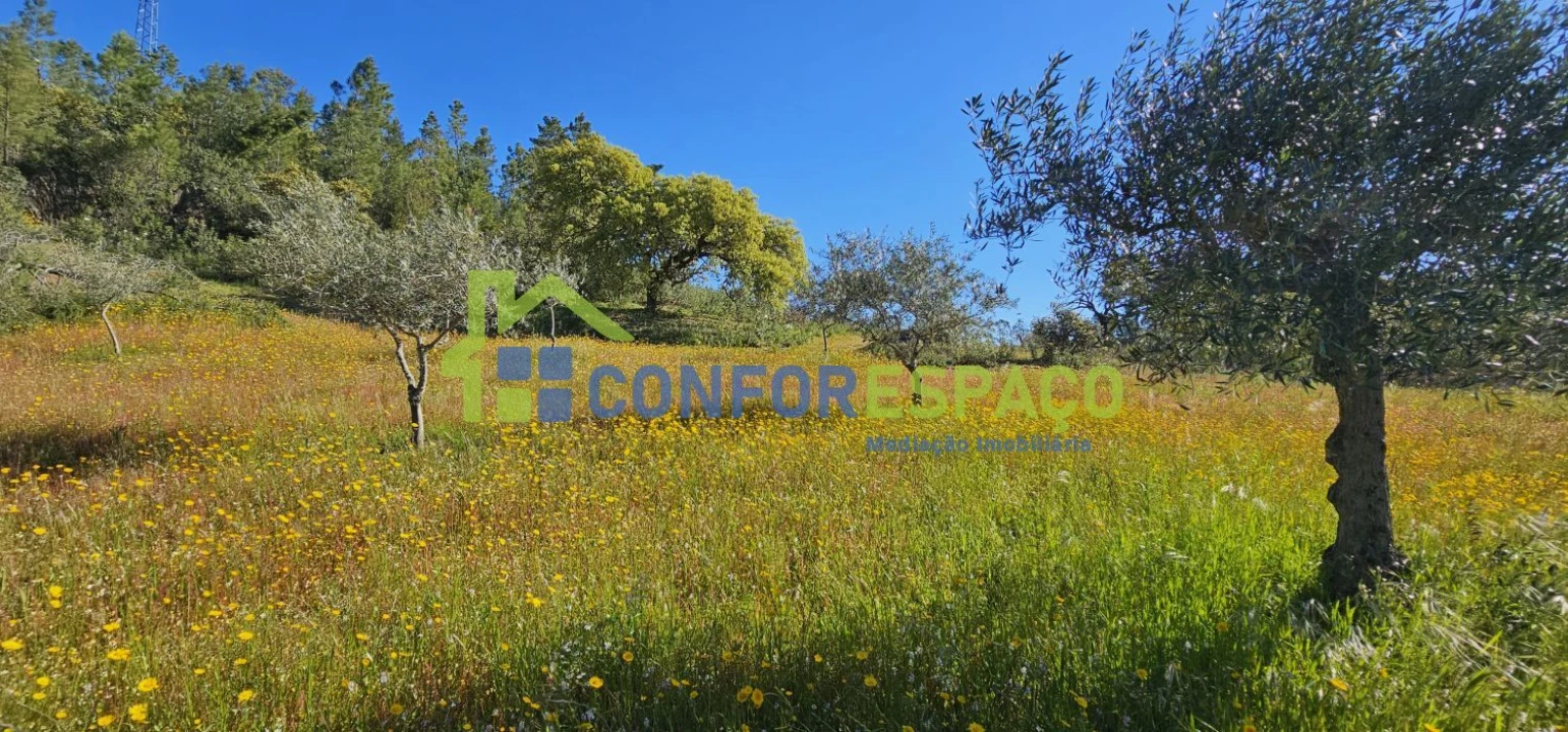 Terreno para Venda em Benquerenças Foto 16
