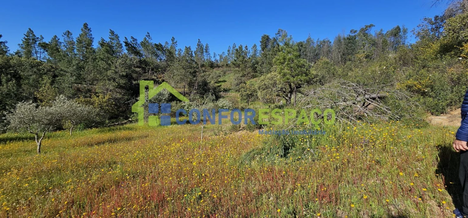Terreno para Venda em Benquerenças Foto 19
