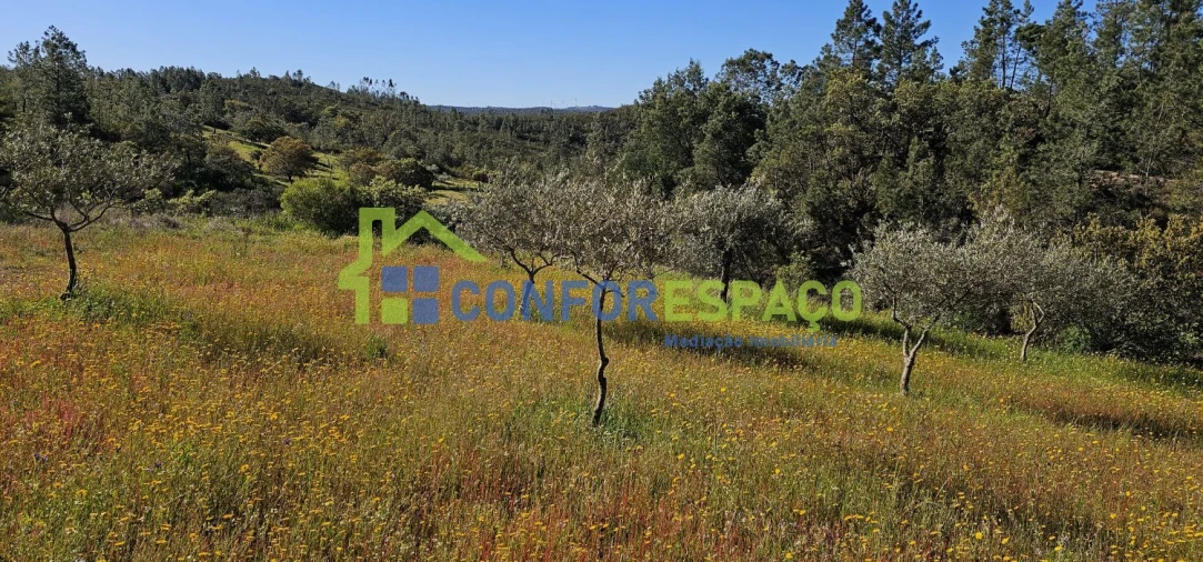 Terreno para Venda em Benquerenças Foto 8