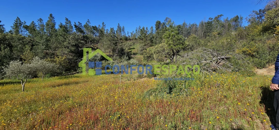 Terreno para Venda em Benquerenças Foto 19