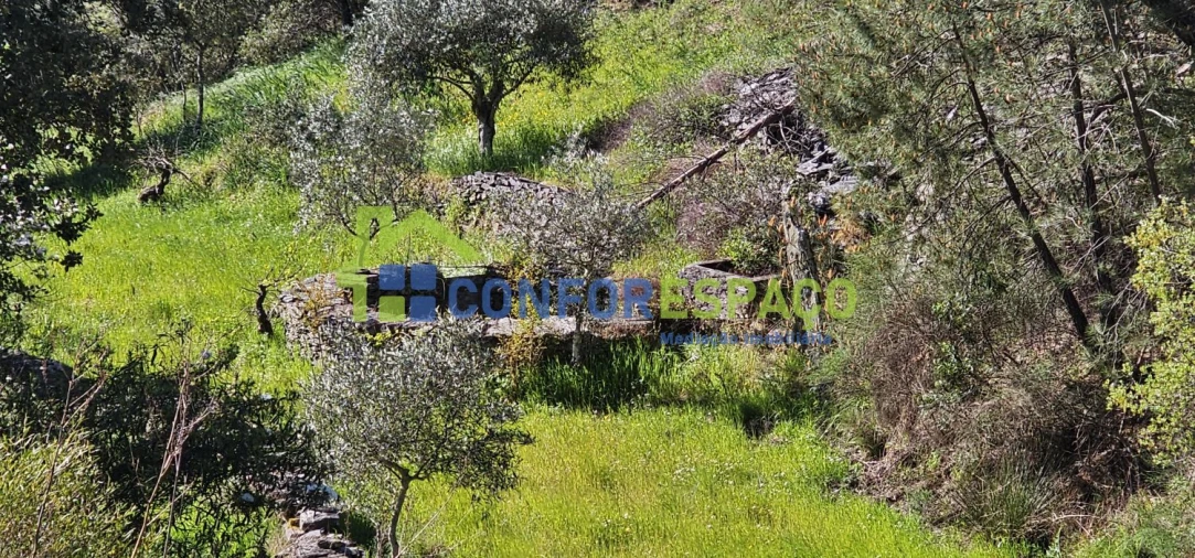 Terreno para Venda em Benquerenças Foto 14