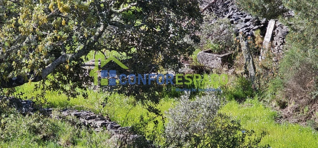 Terreno para Venda em Benquerenças Foto 13
